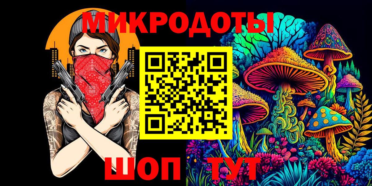 Кропоткин  Псилоцибиновые грибы прущие грибы  Вход с VPN 