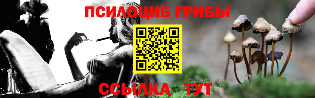 Псилоцибиновые грибы прущие грибы Кропоткин